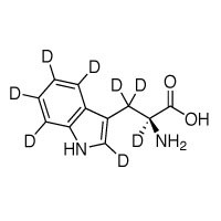 DLM-6903 L-色氨酸(D8,97-98%)